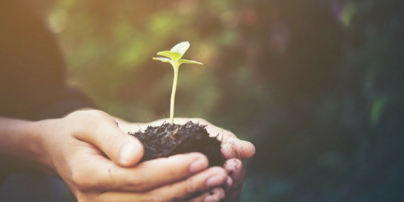 Unleash new ideas - Benefits of Personality Development Training