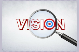 Vision or the final goal